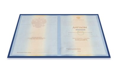 Диплом бакалавра 2009-2010